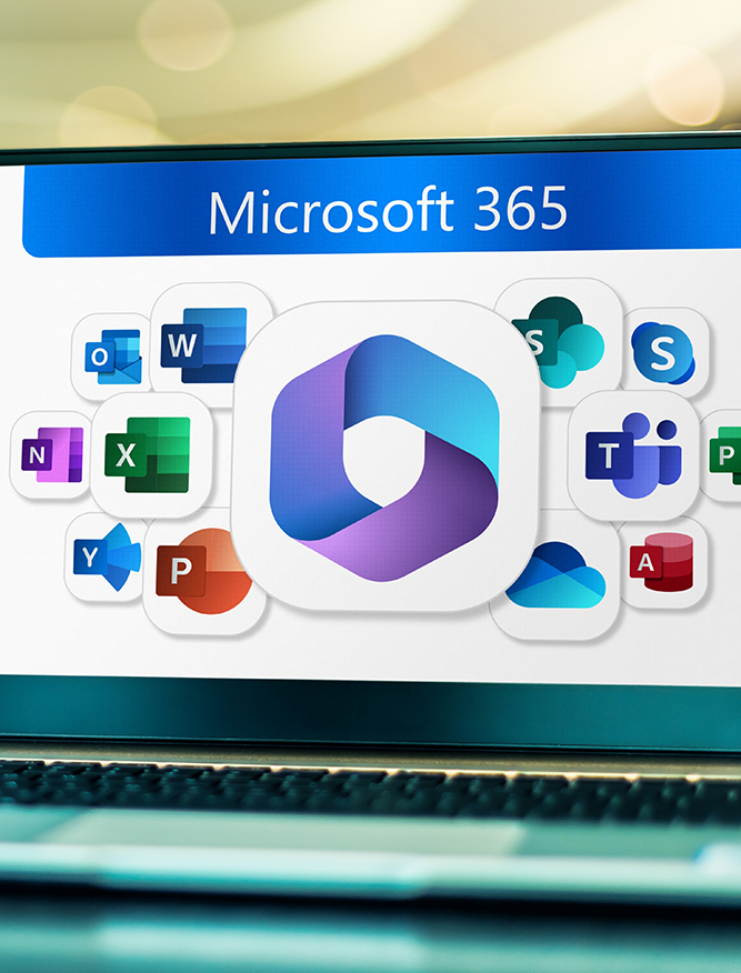 MS365 training for businesses